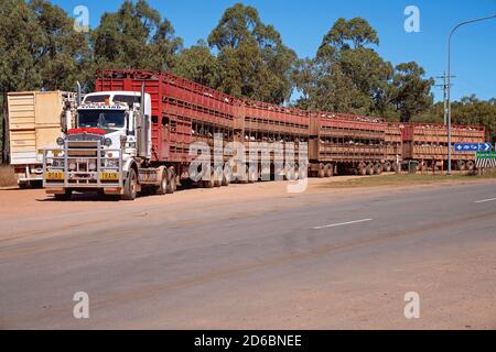 De Townsville à Undara Highway, Queensland, juin 2020 : deux trains routiers qui emmenant des bovins sur le marché Banque D'Images