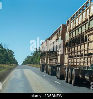 De Townsville à Undara Highway, Queensland, juin 2020 : deux trains routiers qui emmenant des bovins sur le marché Banque D'Images