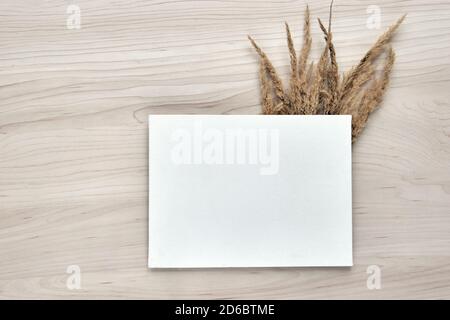 Un bouquet d'épillets. Cadre de roseaux secs isolés sur fond blanc. Maquette papier vierge. Fleurs d'herbe sèches abstraites, herbes sur bois Banque D'Images