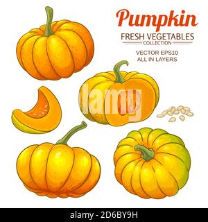 ensemble de citrouilles vectorielles Illustration de Vecteur