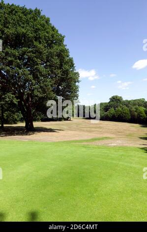 Vue depuis le 15ème Green du parcours de golf de Beckenham place Park, Lewisham Banque D'Images