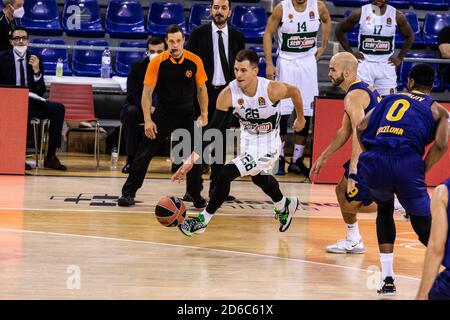 Emanja Nedovic de Panathinaikos OPAP et Nick Calathes de FC Barcelone lors du match de basket-ball EuroLeague de Turkish Airlines entre FC Barcelone a Banque D'Images