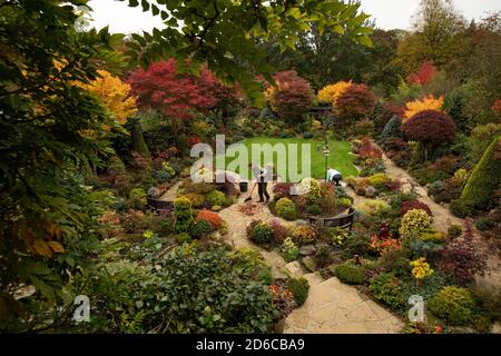 Couple retraité Tony et Marie Newton ont tendance à leur jardin des Quatre Saisons qu'il éclate dans des couleurs automnales à leur domicile, à Wolverhampton, West Midlands. Banque D'Images