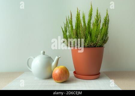 Théière en porcelaine blanche, pomme et fleur dans une casserole Banque D'Images