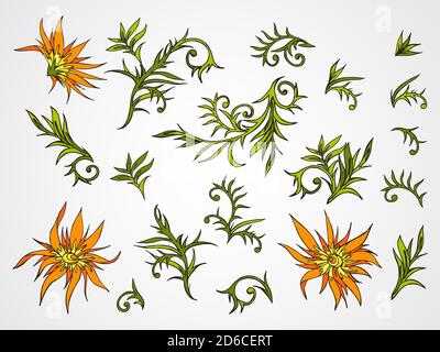 Ensemble vectoriel de fleurs dessinées à la main, de branches et de feuilles. En orange et en vert. Illustration de Vecteur