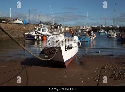 Bateau de pêche amarré à marée basse dans le port de Paignton. Banque D'Images