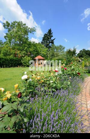 Beau jardin de fleurs de roses, et un petit chemin de briques belvédère Banque D'Images