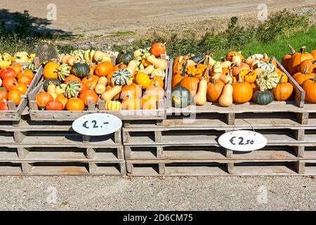 Gourdes en vente sur un marché agricole en automne. Divers types, tailles et variétés de gourdes dans des caisses en bois avec des étiquettes de prix. Banque D'Images