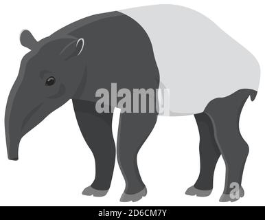Tapir de style dessin animé. Animal inhabituel isolé sur fond blanc. Illustration de Vecteur