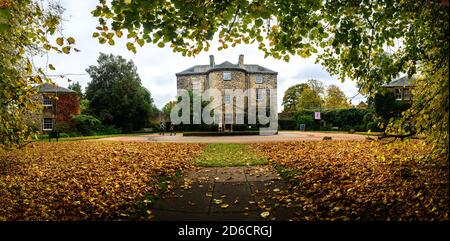 Vendredi 16 octobre 2020. Édimbourg, Royaume-Uni. Visiteurs à l'exposition "Florilegium: Un rassemblement de fleurs" à Inverleith House dans le jardin botanique royal d'Édimbourg. L’exposition biennale est la première d’un nouveau programme, car Inverleith House commence sa transformation en Climate House après quatre ans de fermeture, après l’attribution de la subvention de transformation du Fonds d’art contemporain d’entrée en vigueur. Banque D'Images