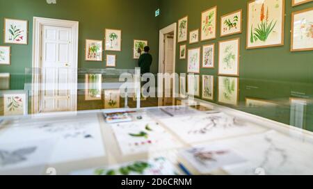 Vendredi 16 octobre 2020. Édimbourg, Royaume-Uni. Visiteurs à l'exposition "Florilegium: Un rassemblement de fleurs" à Inverleith House dans le jardin botanique royal d'Édimbourg. L’exposition biennale est la première d’un nouveau programme, car Inverleith House commence sa transformation en Climate House après quatre ans de fermeture, après l’attribution de la subvention de transformation du Fonds d’art contemporain d’entrée en vigueur. Banque D'Images