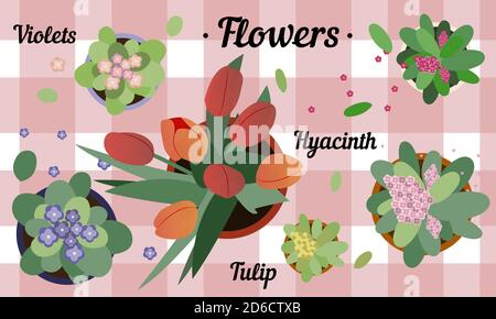 Vue de dessus des fleurs en pot. Illustration plate de jacinthe, tulipe et violettes sur une table avec une nappe à carreaux. Jolie carte de vœux de printemps aux couleurs pastel avec fleurs maison pour les rebords de fenêtre et les balcons. Fond vectoriel plat du pot de fleurs Illustration de Vecteur