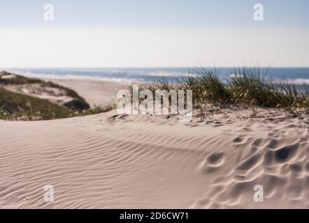 Dune côtière entre Skagen et Hals dans la région du Jutland-Nord Au Danemark Banque D'Images