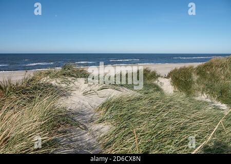 Dune côtière entre Skagen et Hals dans la région du Jutland-Nord Au Danemark Banque D'Images