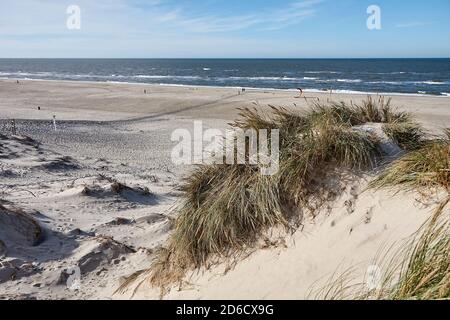 Dune côtière entre Skagen et Hals dans la région du Jutland-Nord Au Danemark Banque D'Images