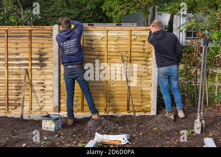 Travaux de déstockage et de rénovation du jardin en octobre à Bournemouth, Dorset, Royaume-Uni - ériger l'installation de nouvelles clôtures de clôture, panneau de clôture Banque D'Images
