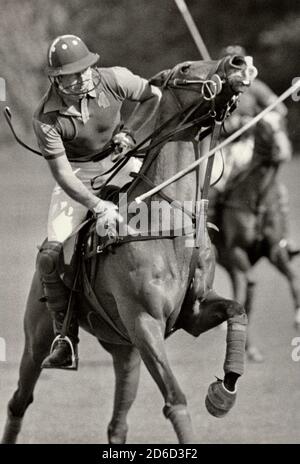 Le prince Charles est très bien l'homme d'action de sa vie précédente - ici jouant au polo à Cowdray Park dans West Sussex - il s'est lancé énergiquement dans son jeu - pas si sûr que le poney a autant apprécié ! Photo exclusive de David Cole des archives du Service de portrait de presse (anciennement Bureau de portrait de presse). Banque D'Images