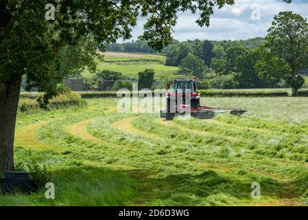 Fauchage de l'herbe pour l'ensilage, Preston, Lancashire. ROYAUME-UNI Banque D'Images