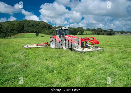 Fauchage de l'herbe pour l'ensilage, Preston, Lancashire. ROYAUME-UNI Banque D'Images