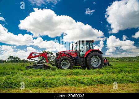 Fauchage de l'herbe pour l'ensilage, Preston, Lancashire. ROYAUME-UNI Banque D'Images