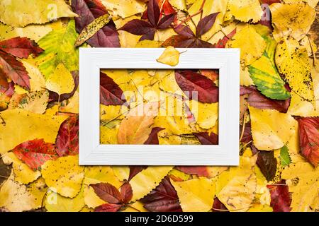 Composition automnale composée de feuilles colorées et d'un cadre photo vierge. Automne, automne concept. Flat lay, vue de dessus, espace de copie. Banque D'Images