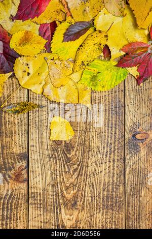 Arrière-plan d'automne avec feuilles d'automne sur bois rustique. Plat avec espace pour la publicité. Banque D'Images