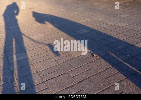 14.04.2020, Berlin, Berlin, Allemagne - chien et homme jettent une ombre sur l'asphalte. 00S200414D040CAROEX.JPG [AUTORISATION DU MODÈLE : OUI, AUTORISATION DU PROPRIÉTAIRE : NON (C) Banque D'Images