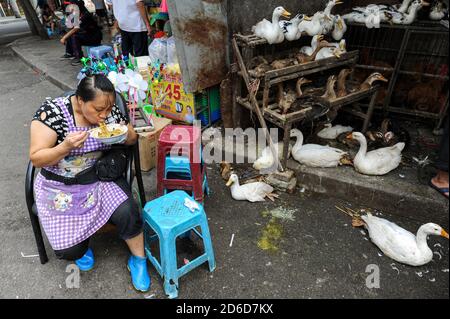 04.08.2012, Chongqing, Chine - UN boucher est assis devant un boucherie de volaille avec des canards et des oies et mange une soupe de nouilles. Consommation de viande dans Banque D'Images
