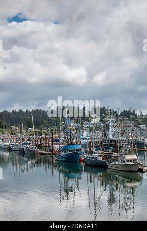 Yachts et bateaux de pêche dans une marina de Yaquina Bay à Newport, Oregon Banque D'Images