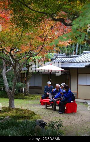 KYOTO, JAPON - 26 NOVEMBRE 2016: Les gens visitent le jardin de thé dans les jardins du temple Kodaiji à Kyoto, Japon. 19.7 millions de touristes étrangers ont visité le Japon en 20 Banque D'Images