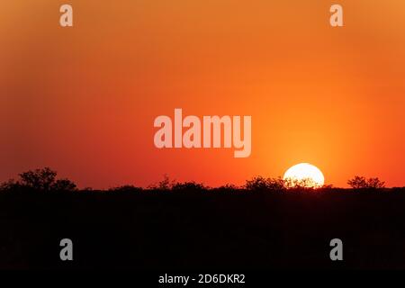 Une excursion en jeep à travers la Namibie, la faune, le pays et les gens. Magnifique coucher de soleil dans la savane Banque D'Images