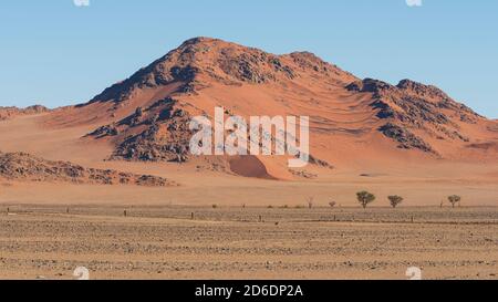 Une excursion en jeep à travers la Namibie, la faune, le pays et les gens. Paysage de dunes près de Sossusvlei Banque D'Images