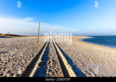 Traces de pneus dans le sable, Ile de Sylt, Schleswig-Holstein Banque D'Images