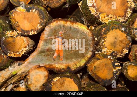 Pile de bois avec photo d'un ouvrier forestier Banque D'Images