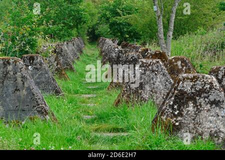 Höckerlinie, barrière anti-char de l'ancien mur ouest près de Mettlach-Orscholz, Saargau, Sarre, Allemagne Banque D'Images