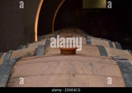 Cliché sélectif de fûts en bois pour la fermentation du vin Banque D'Images