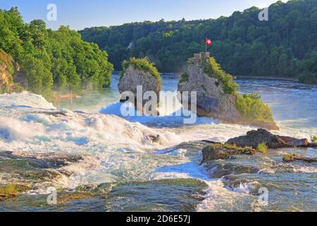 Chutes du Rhin près de Schaffhausen au soleil du soir, Neuhausen am Rheinfall, Rhin, vallée du Rhin, Canton de Schaffhausen, Suisse Banque D'Images