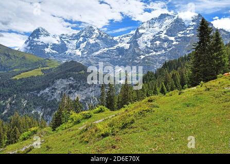 Pré de montagne avec le triumvirat Eiger (3967m), Mönch (4107m) et le massif de la Jungfrau (4158m), Mürren, région de la Jungfrau, Oberland bernois, canton de Berne, site du patrimoine mondial de l'UNESCO, Suisse Banque D'Images