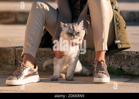 Femme élégante avec son chat puré assis dehors sur les marches. Animal de compagnie avec propriétaire Banque D'Images