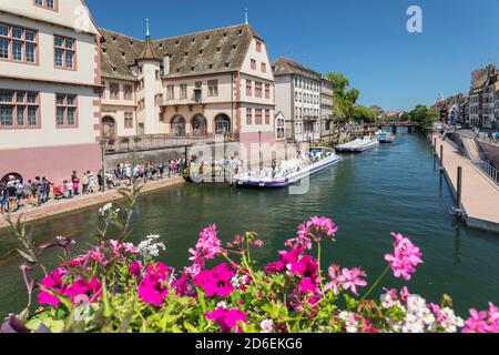 Excursions en bateau sur l'Ill en face du musée historique, Strasbourg, Alsace, France Banque D'Images