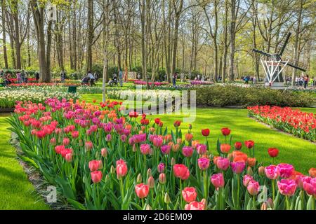 Keukenhof, pays-Bas Banque D'Images