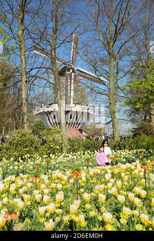 Keukenhof, pays-Bas Banque D'Images