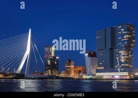 Erasmus Bridge, Rotterdam, Hollande-Méridionale, pays-Bas Banque D'Images