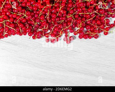 Les groseilles rouges étaient arrachées de la brousse et entassées. Demi-cadre de raisins rouges sur tableau blanc. Banque D'Images