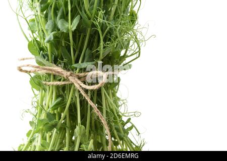 Aliments biologiques sains. Bouquet de jeunes rondelles de pois nouées avec une corde de chanvre isolée sur fond blanc Banque D'Images