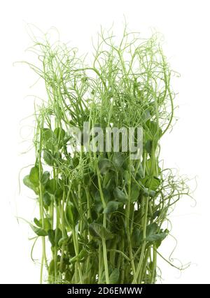 Verts biologiques sains. Bouquet de rondelles de pois avec tendriles isolées sur fond blanc Banque D'Images