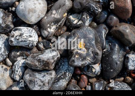 Allemagne, Mecklembourg-Poméranie occidentale, Sassnitz, une ambre se trouve sur les falaises de craie Wissower Klinken sur la plage Banque D'Images