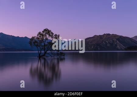 Lac Wanaka à l'heure bleue, Parc national du Mont Aspiring, site classé au patrimoine mondial de l'UNESCO, Otago, Île du Sud, Nouvelle-Zélande, Océanie Banque D'Images