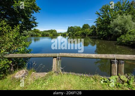 Deutschland, Dorsten-Deuten, Lippe, région de la Ruhr, Hohe Mark Westmuensterland nature Park, Muensterland, Westphalie, Rhénanie-du-Nord-Westphalie, Muehltenteich an der Tueshaus Wassermuehle nourri par le Hammbach *** Légende locale *** Banque D'Images