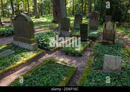 Deutschland, Dorsten-Feldmark, Lippe, Ruhr, Hohe Mark Westmuensterland nature Park, Muensterland, Westphalie, Rhénanie-du-Nord-Westphalie, Juedischer Friedhof dans le parc naturel de Hasselbecke, également appelé Judenbusch, Graeber, graviers *** Légende locale *** Banque D'Images